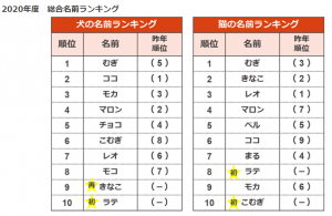 ペットちゃんの名前ランキングから 今 を読み取ってみた 天国への扉