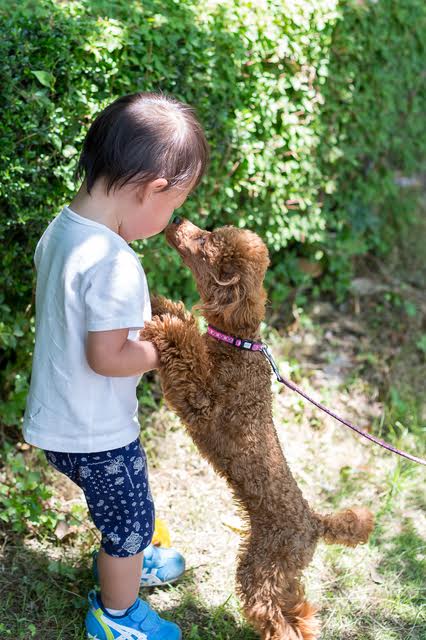 大切な家族、いつまでも忘れない。